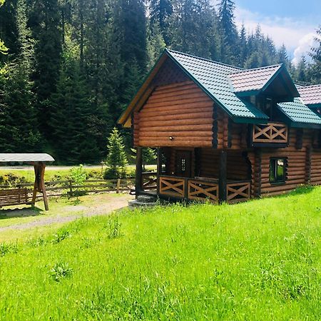 У ВІТИ котедж4 Синевирська Поляна Екстер'єр фото